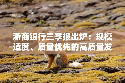 浙商银行三季报出炉:规模适度、质量优先的高质量发展之路 浙商银行三季报出炉:规模适度、质量优先的高质量发展之路