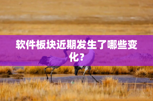 软件板块近期发生了哪些变化？