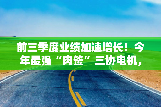 前三季度业绩加速增长!今年最强“肉签”三协电机,如何撬动4000亿元机器人赛道? 前三季度业绩加速增长!今年最强“肉签”三协电机,如何撬动4000亿元机器人赛道?