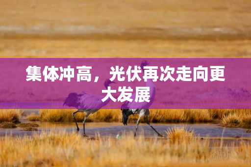 集体冲高，光伏再次走向更大发展