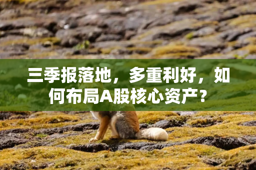 三季报落地,多重利好,如何布局A股核心资产? 三季报落地,多重利好,如何布局A股核心资产?