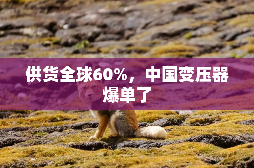 供货全球60%，中国变压器爆单了