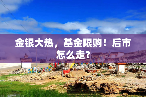 金银大热,基金限购!后市怎么走? 金银大热,基金限购!后市怎么走?