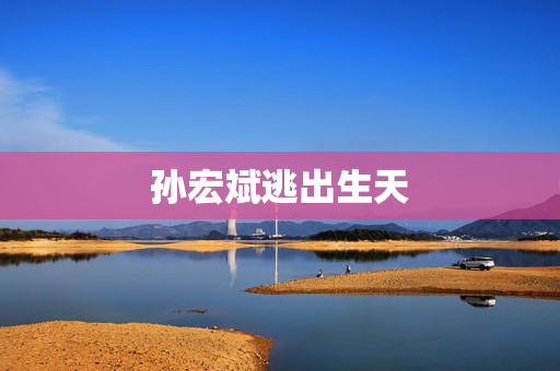 孙宏斌逃出生天 孙宏斌逃出生天