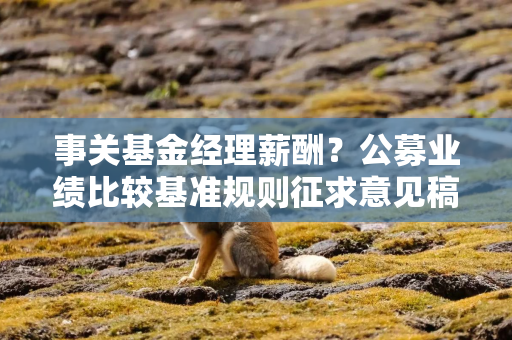 事关基金经理薪酬?公募业绩比较基准规则征求意见稿即将发布 事关基金经理薪酬?公募业绩比较基准规则征求意见稿即将发布