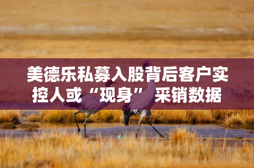 美德乐私募入股背后客户实控人或“现身” 采销数据上演罗生门 美德乐私募入股背后客户实控人或“现身” 采销数据上演罗生门
