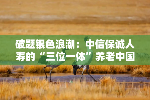 破题银色浪潮：中信保诚人寿的“三位一体”养老中国方案