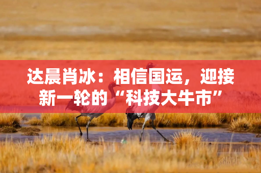 达晨肖冰：相信国运，迎接新一轮的“科技大牛市”