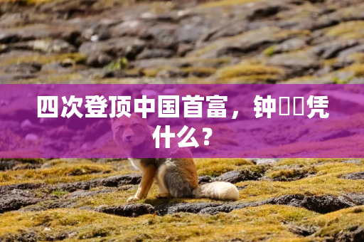 四次登顶中国首富，钟睒睒凭什么？