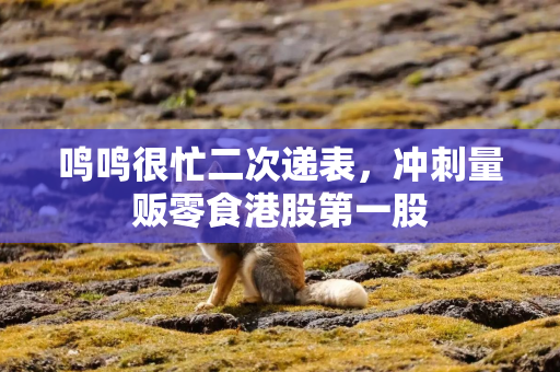 鸣鸣很忙二次递表，冲刺量贩零食港股第一股