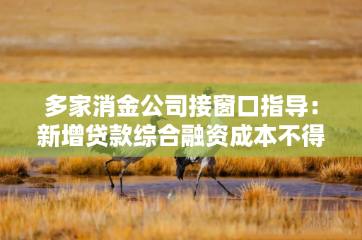 多家消金公司接窗口指导:新增贷款综合融资成本不得超20% 多家消金公司接窗口指导:新增贷款综合融资成本不得超20%