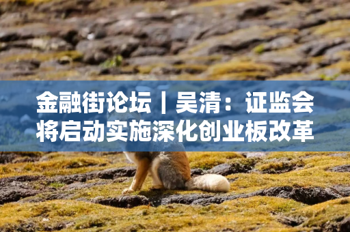 金融街论坛｜吴清：证监会将启动实施深化创业板改革