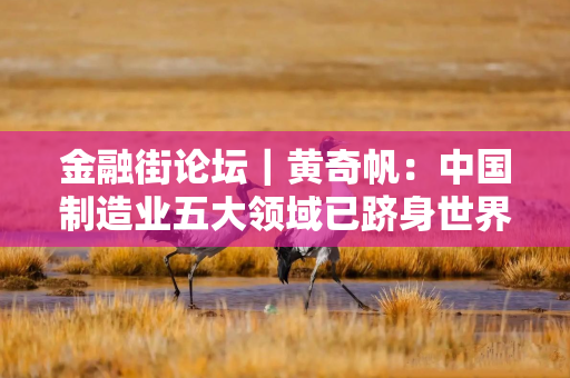 金融街论坛｜黄奇帆：中国制造业五大领域已跻身世界前列