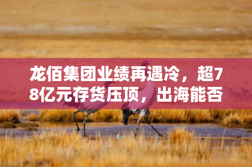 龙佰集团业绩再遇冷，超78亿元存货压顶，出海能否寻得破局“良方”？