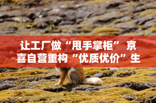 让工厂做“甩手掌柜” 京喜自营重构“优质优价”生态圈