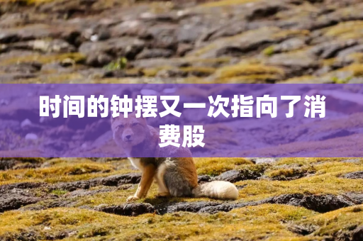 时间的钟摆又一次指向了消费股