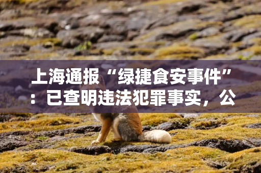 上海通报“绿捷食安事件”：已查明违法犯罪事实，公司8名责任人被依法执行逮捕