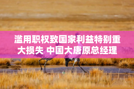 滥用职权致国家利益特别重大损失 中国大唐原总经理寇伟被提起公诉 滥用职权致国家利益特别重大损失 中国大唐原总经理寇伟被提起公诉