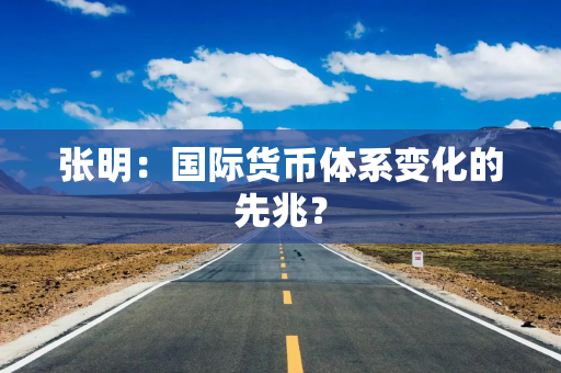张明：国际货币体系变化的先兆？