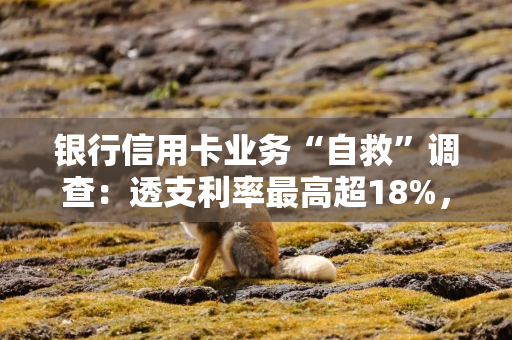 银行信用卡业务“自救”调查：透支利率最高超18%，有银行贴息最高补3000
