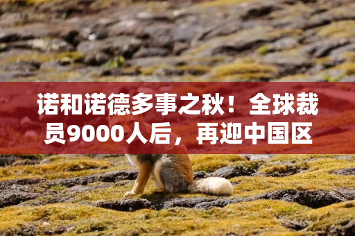 诺和诺德多事之秋！全球裁员9000人后，再迎中国区架构大调整