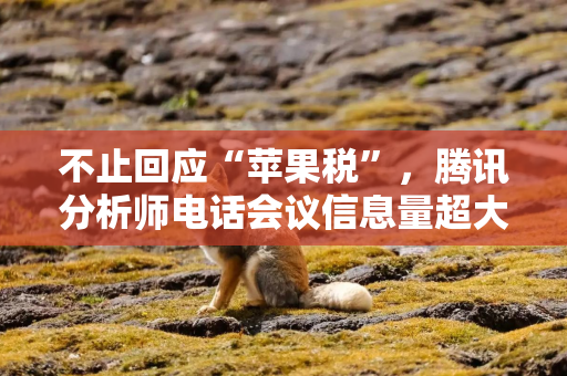 不止回应“苹果税”，腾讯分析师电话会议信息量超大！