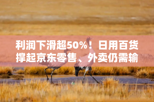 利润下滑超50%!日用百货撑起京东零售、外卖仍需输血 利润下滑超50%!日用百货撑起京东零售、外卖仍需输血