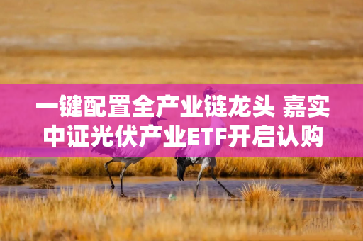 一键配置全产业链龙头 嘉实中证光伏产业ETF开启认购! 一键配置全产业链龙头 嘉实中证光伏产业ETF开启认购!