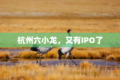 杭州六小龙，又有IPO了