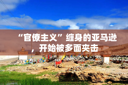 “官僚主义”缠身的亚马逊，开始被多面夹击