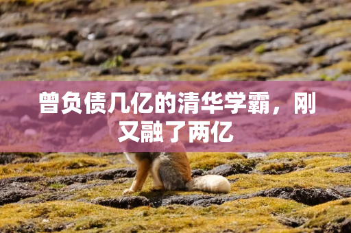 曾负债几亿的清华学霸，刚又融了两亿