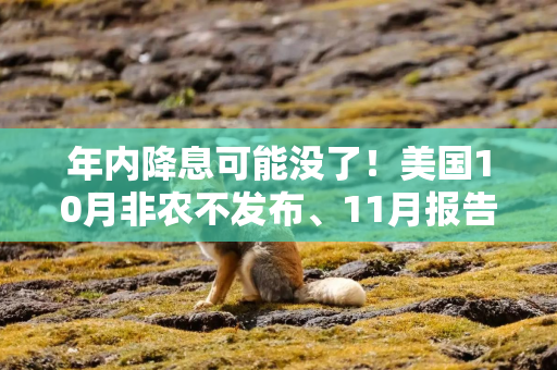 年内降息可能没了！美国10月非农不发布、11月报告意外在美联储12月会后发