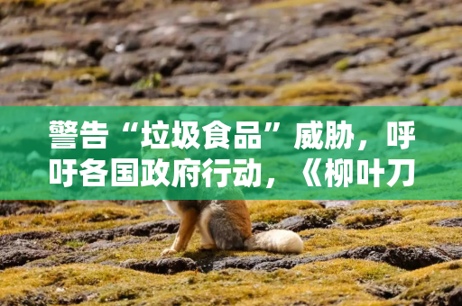 警告“垃圾食品”威胁，呼吁各国政府行动，《柳叶刀》发文猛批超加工食品