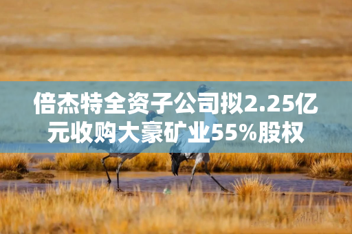 倍杰特全资子公司拟2.25亿元收购大豪矿业55%股权