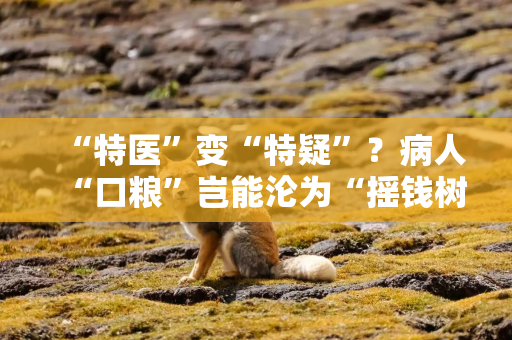 “特医”变“特疑”？病人“口粮”岂能沦为“摇钱树”