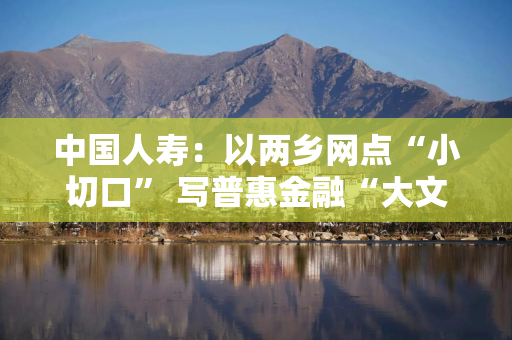 中国人寿：以两乡网点“小切口” 写普惠金融“大文章”