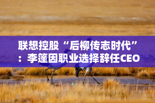 联想控股“后柳传志时代”：李篷因职业选择辞任CEO，上半年净利比6年前跌超7成