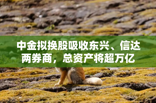 中金拟换股吸收东兴、信达两券商，总资产将超万亿