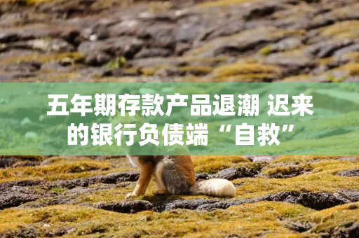 五年期存款产品退潮 迟来的银行负债端“自救”