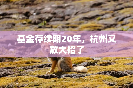 基金存续期20年，杭州又放大招了