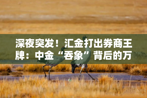 深夜突发！汇金打出券商王牌：中金“吞象”背后的万亿阳谋