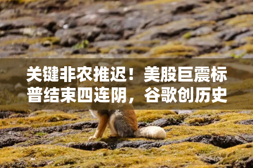 关键非农推迟！美股巨震标普结束四连阴，谷歌创历史新高
