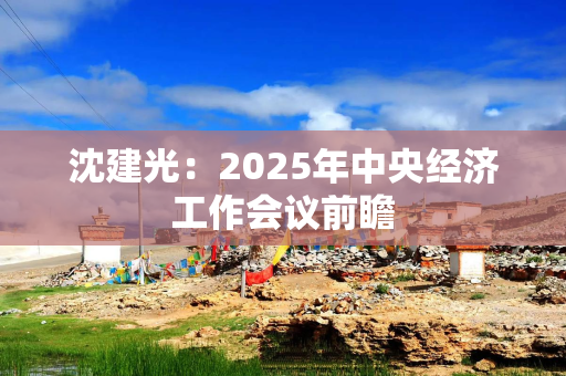 沈建光：2025年中央经济工作会议前瞻