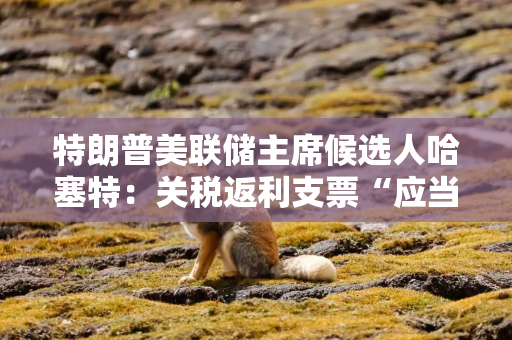 特朗普美联储主席候选人哈塞特：关税返利支票“应当在讨论范围内”