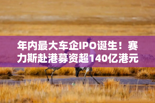 年内最大车企IPO诞生！赛力斯赴港募资超140亿港元，规模超过奇瑞汽车