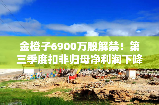 金橙子6900万股解禁！第三季度扣非归母净利润下降超20%，正推进并购萨米特