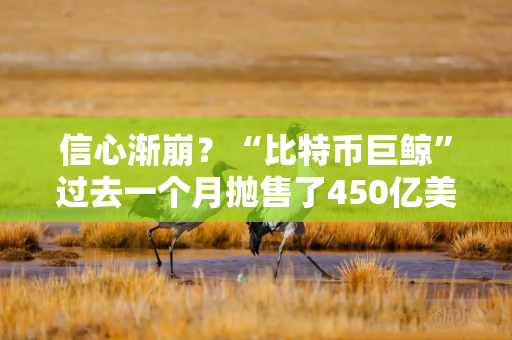 信心渐崩?“比特币巨鲸”过去一个月抛售了450亿美元的持仓 信心渐崩?“比特币巨鲸”过去一个月抛售了450亿美元的持仓