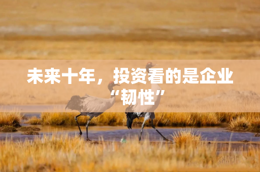 未来十年，投资看的是企业“韧性”