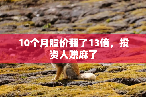 10个月股价翻了13倍，投资人赚麻了