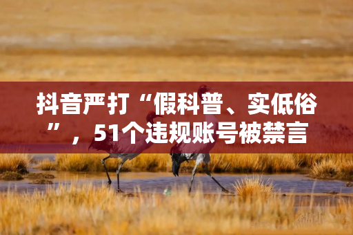 抖音严打“假科普、实低俗”，51个违规账号被禁言
